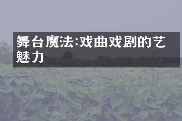 舞台魔法:戏曲戏剧的艺术魅力