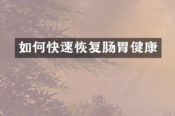 如何快速恢复肠胃健康
