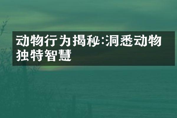 动物行为揭秘:洞悉动物的独特智慧