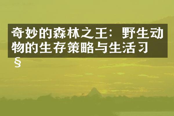 奇妙的森林之王：野生动物的生存策略与生活习性