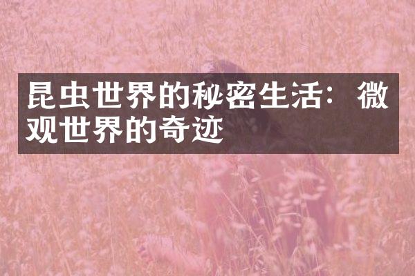 昆虫世界的秘密生活：微观世界的奇迹