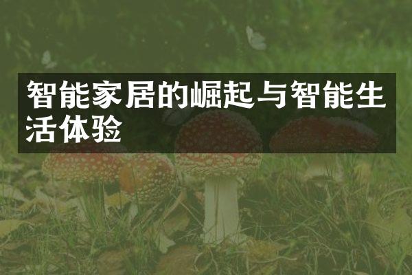智能家居的崛起与智能生活体验