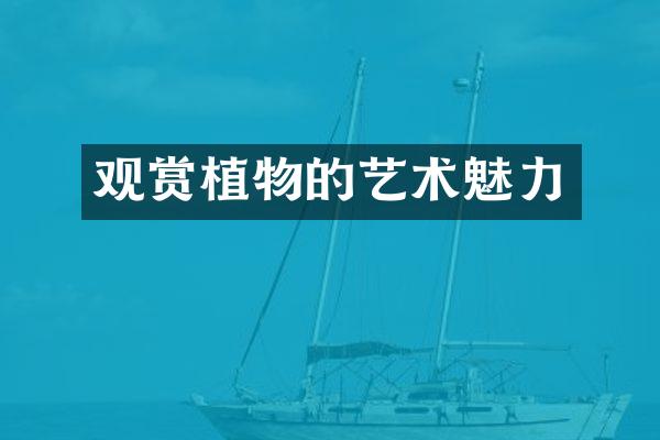 观赏植物的艺术魅力