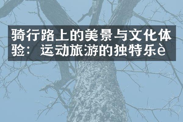 骑行路上的美景与文化体验：运动旅游的独特乐趣