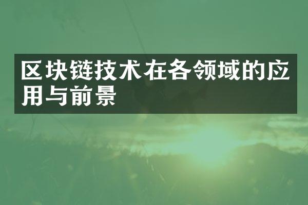 区块链技术在各领域的应用与前景