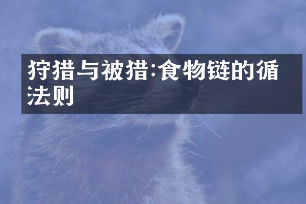 狩猎与被猎:食物链的循环法则