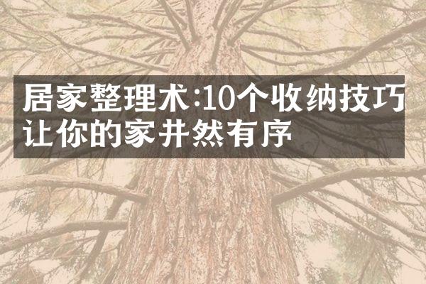 居家整理术:10个收纳技巧让你的家井然有序