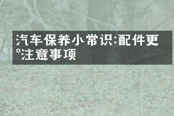 汽车保养小常识:配件更新注意事项