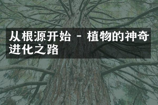 从根源开始 - 植物的神奇进化之路