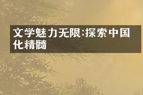 文学魅力无限:探索中国文化精髓