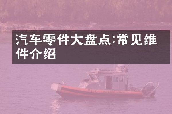 汽车零件大盘点:常见维修件介绍