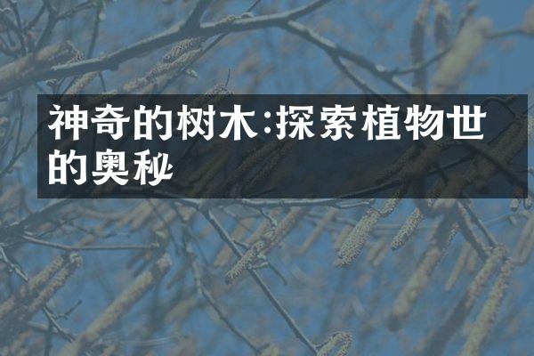 神奇的树木:探索植物世界的奥秘