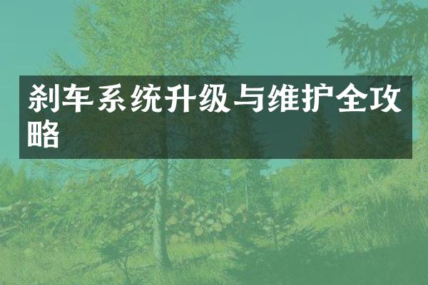 刹车系统升级与维护全攻略