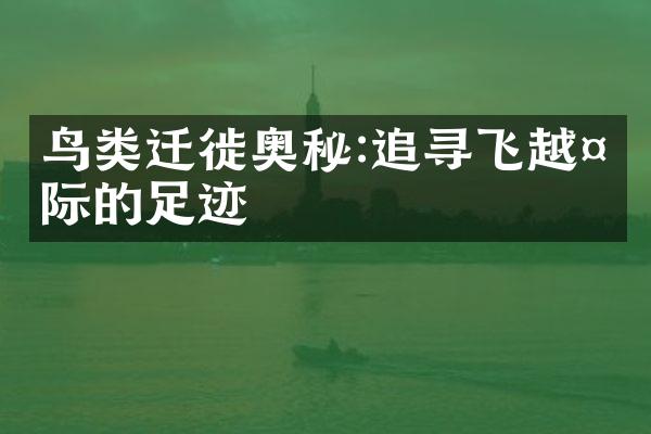鸟类迁徙奥秘:追寻飞越天际的足迹