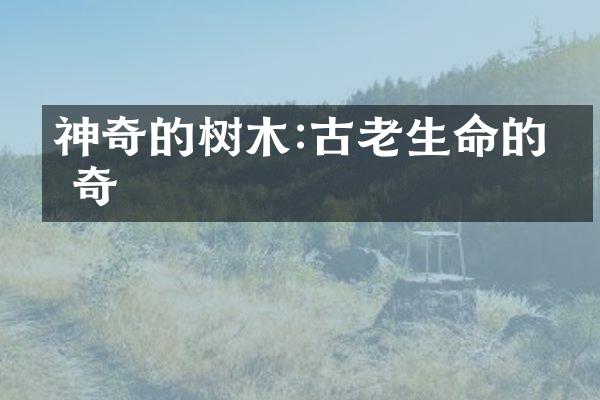 神奇的树木:古老生命的传奇