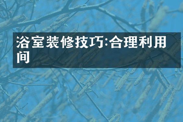 浴室装修技巧:合理利用空间