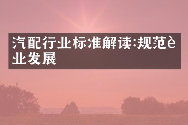 汽配行业标准解读:规范行业发展