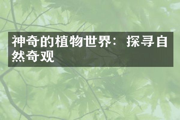 神奇的植物世界：探寻自然奇观
