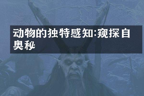 动物的独特感知:窥探自然奥秘