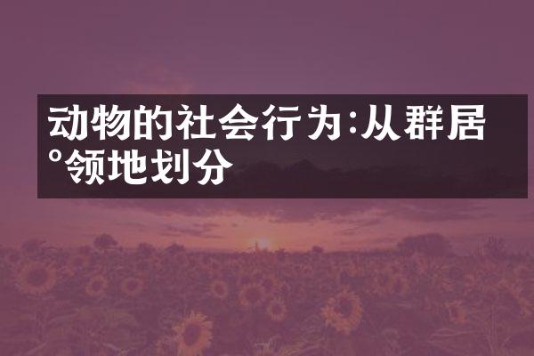 动物的社会行为:从群居到领地划分