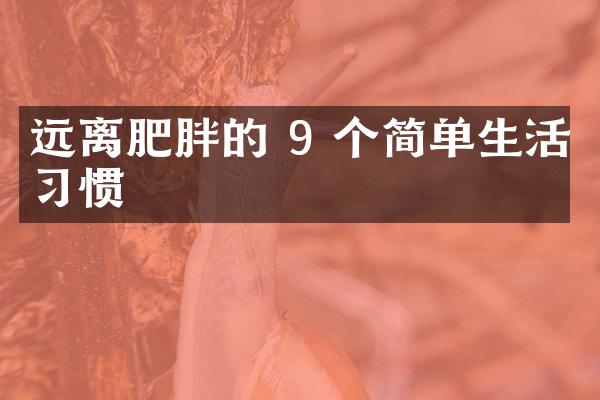 远离肥胖的 9 个简单生活习惯