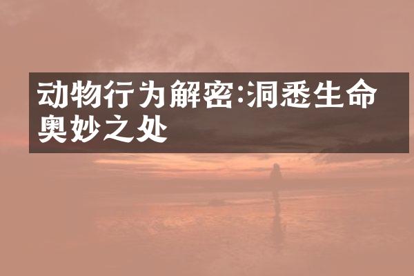 动物行为解密:洞悉生命的奥妙之处
