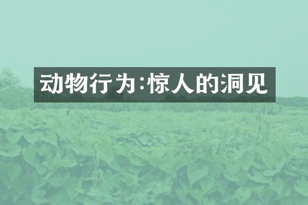 动物行为:惊人的洞见