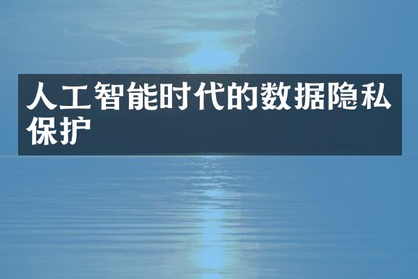 人工智能时代的数据隐私保护