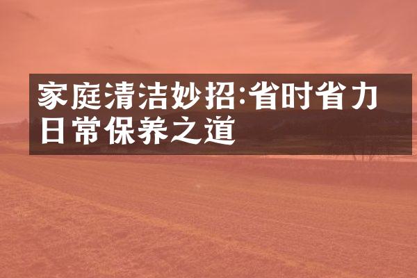 家庭清洁妙招:省时省力的日常保养之道
