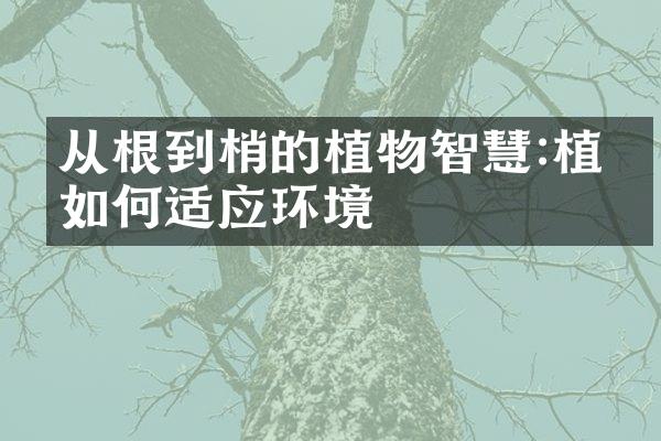 从根到梢的植物智慧:植物如何适应环境