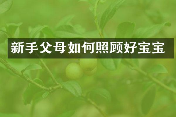 新手父母如何照顾好宝宝