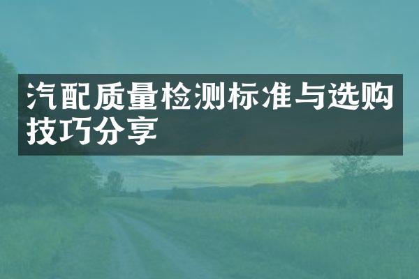 汽配质量检测标准与选购技巧分享