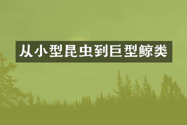 从小型昆虫到巨型鲸类