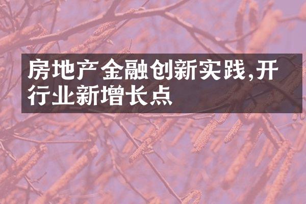 房地产金融创新实践,开拓行业新增长点