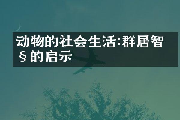 动物的社会生活:群居智慧的启示