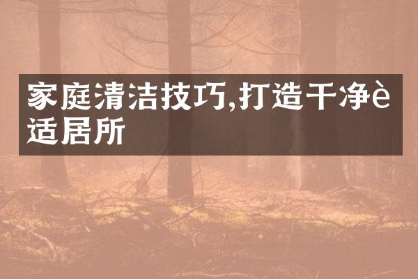 家庭清洁技巧,打造干净舒适居所