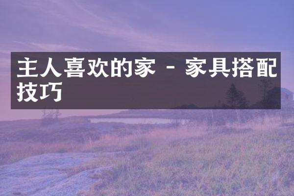 主人喜欢的家 - 家具搭配技巧