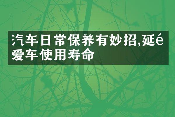 汽车日常保养有妙招,延长爱车使用寿命