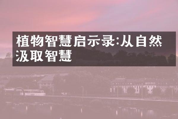 植物智慧启示录:从自然中汲取智慧