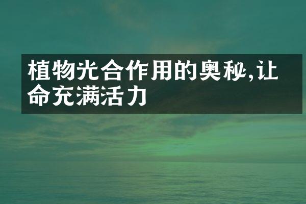 植物光合作用的奥秘,让生命充满活力