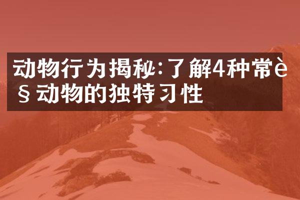 动物行为揭秘:了解4种常见动物的独特习性