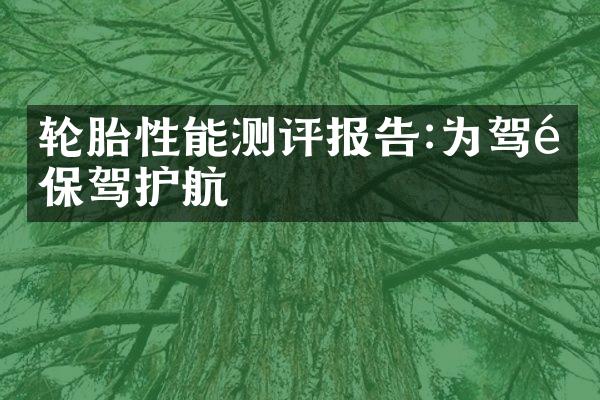 轮胎性能测评报告:为驾驶保驾护航
