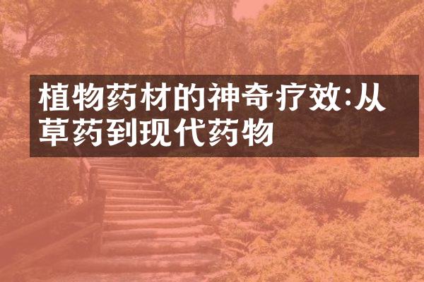 植物药材的神奇疗效:从中草药到现代药物