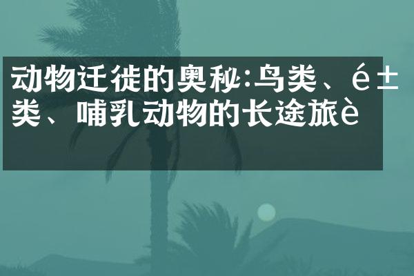 动物迁徙的奥秘:鸟类、鱼类、哺乳动物的长途旅行