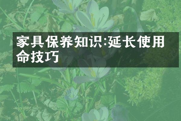 家具保养知识:延长使用寿命技巧