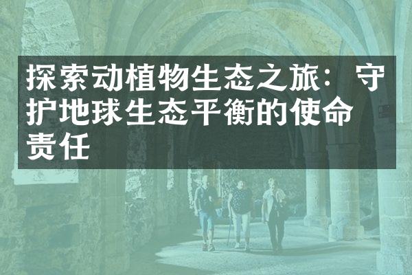 探索动植物生态之旅：守护地球生态平衡的使命与责任