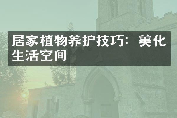 居家植物养护技巧：美化生活空间