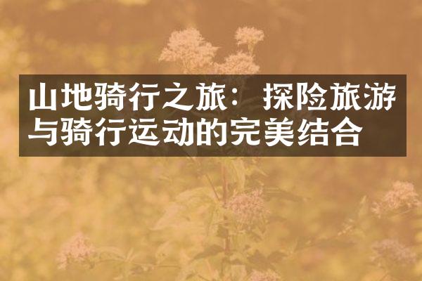 山地骑行之旅：探险旅游与骑行运动的完美结合