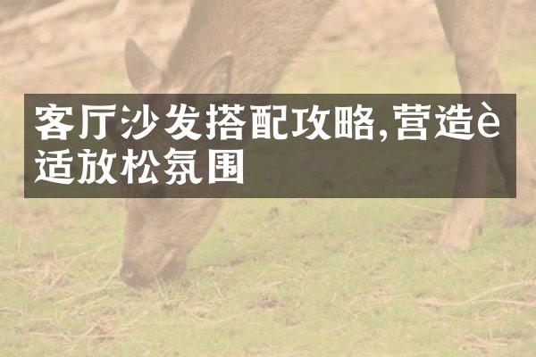 客厅沙发搭配攻略,营造舒适放松氛围