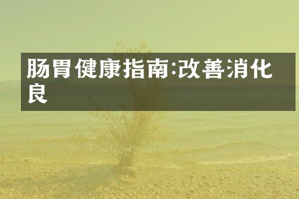 肠胃健康指南:改善消化不良